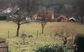 Pension S láskou Karel Bezděz